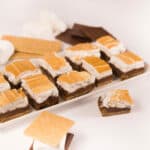 White tray filled with individual S'mores.
