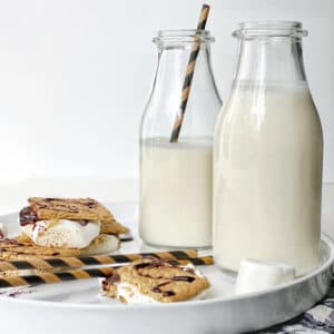 s'mores keto chow shake