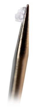 sucralose on a needle tip
